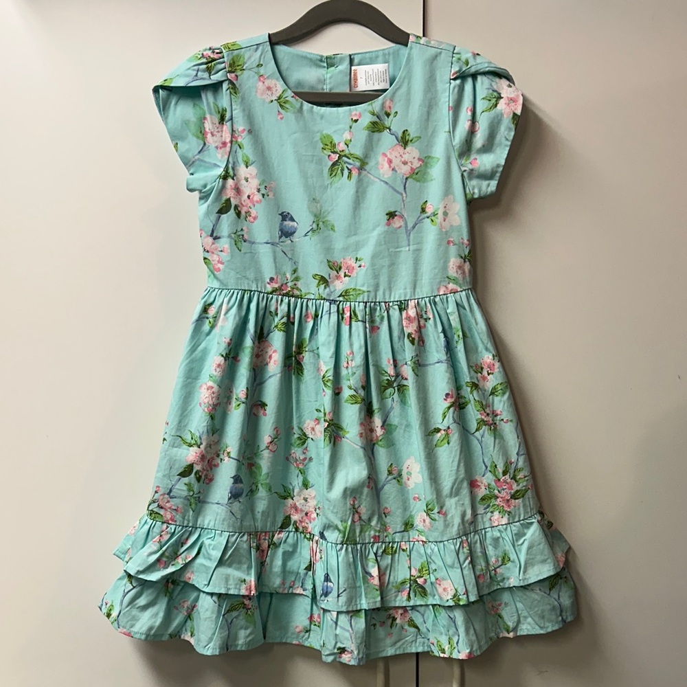 Gymboree Floral Dress in Aqua and Pink